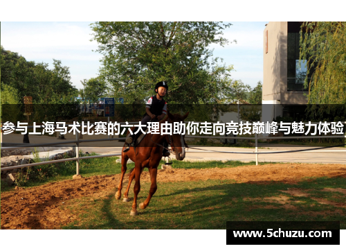 参与上海马术比赛的六大理由助你走向竞技巅峰与魅力体验