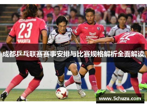 成都乒乓联赛赛事安排与比赛规格解析全面解读