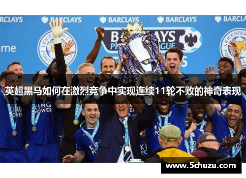 英超黑马如何在激烈竞争中实现连续11轮不败的神奇表现 英超黑马如何在激烈竞争中实现连续11轮不败的神奇表现