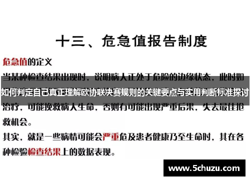 如何判定自己真正理解欧协联决赛规则的关键要点与实用判断标准探讨 如何判定自己真正理解欧协联决赛规则的关键要点与实用判断标准探讨
