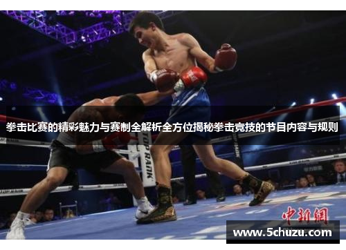 拳击比赛的精彩魅力与赛制全解析全方位揭秘拳击竞技的节目内容与规则